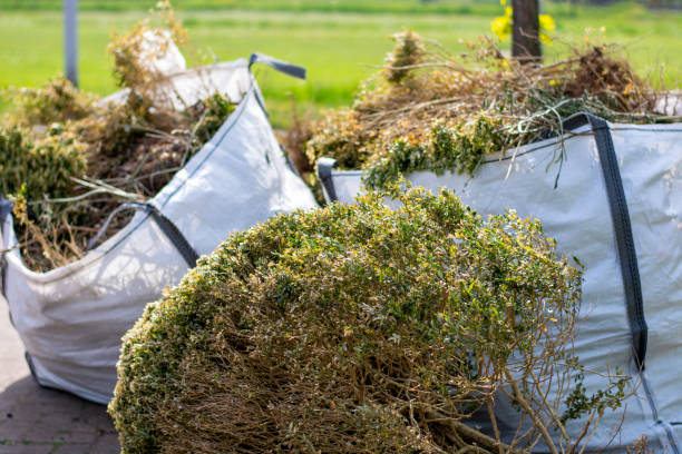 Best Full-Service Junk Removal  in Olean, NY