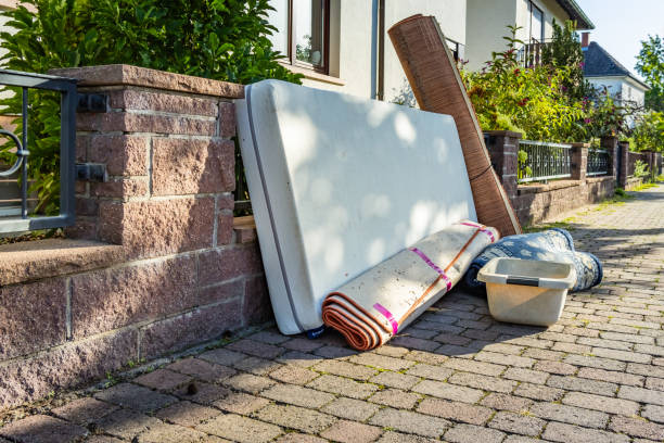 Yard Cleanup Services in Olean, NY